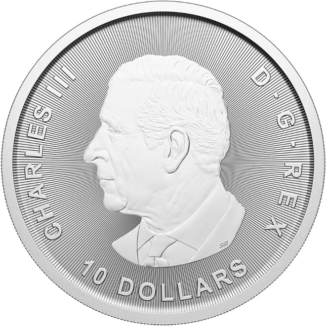 Avers moneda argint Gasca Canadiana (Goose) Canada 2 oz 2025