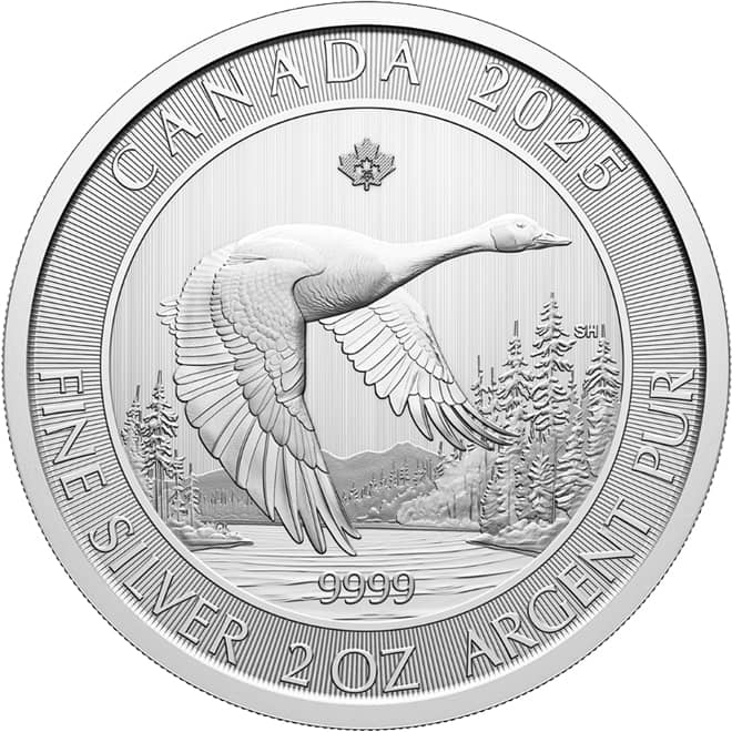 Revers moneda argint Gasca Canadiana (Goose) Canada 2 oz 2025